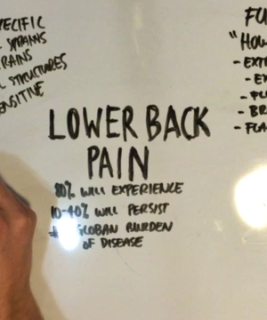 An Overview of Lower Back Pain