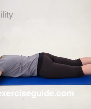 Top 10 exercises for knee arthritis.
