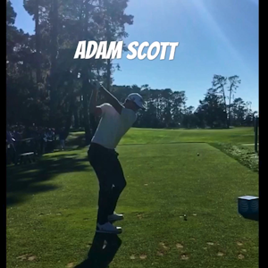 Adam Scott DTL 2/8/18