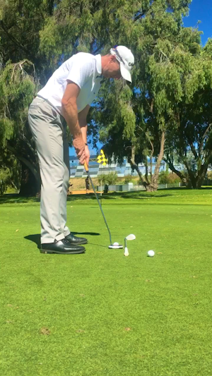 Basic putting
