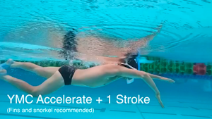 YMC Accelerate +1 Stroke