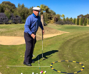 Grip, Stance, and basic motion for a Chip Shot 