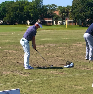 Luke Donald/ Gary Woodland 