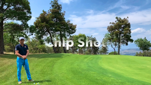 Chip Shot