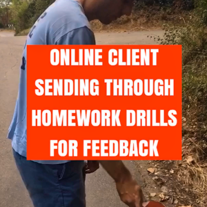 Update Of Homework Drill From Longterm Client And Coach Feedback 