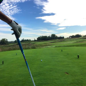 3 Wood (DTL)