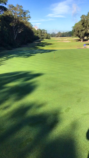 AimPoint Clinics at Bonnie Doon with Dennise Hutton