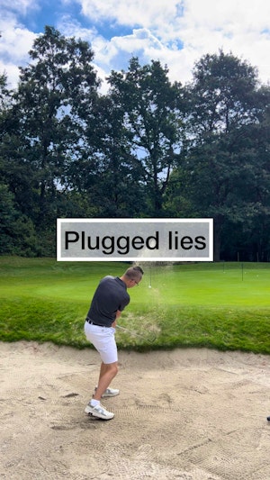 Plugged Lies