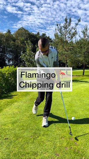 Flamingo 🦩 Chipping drill