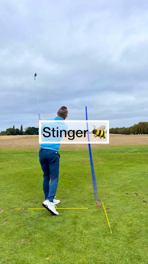 How to hit a stinger