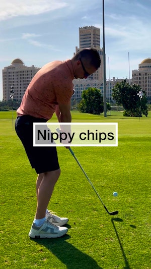 Nip those chips 