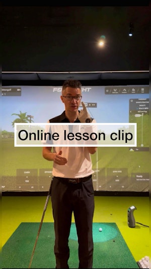 Online lesson clip - just showcasing my enthusiasm