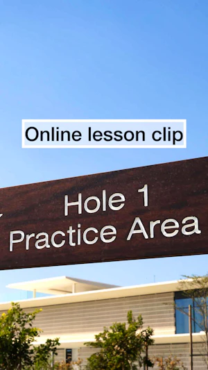 Online lesson clip