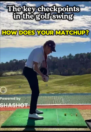 The key checkpoints in the swing