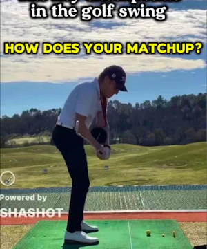 The key checkpoints in the swing