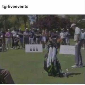 Swing - Acceleration - Tiger’s Intention 