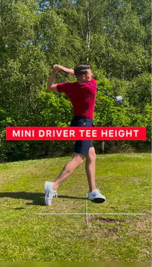 Mini Driver Tee Height
