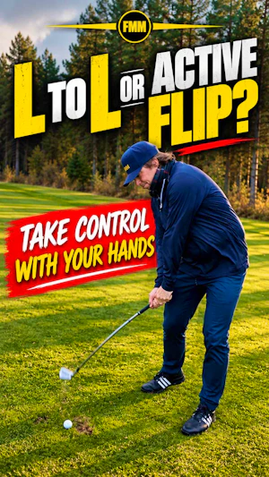 Passive L to L or ACTIVE hands?