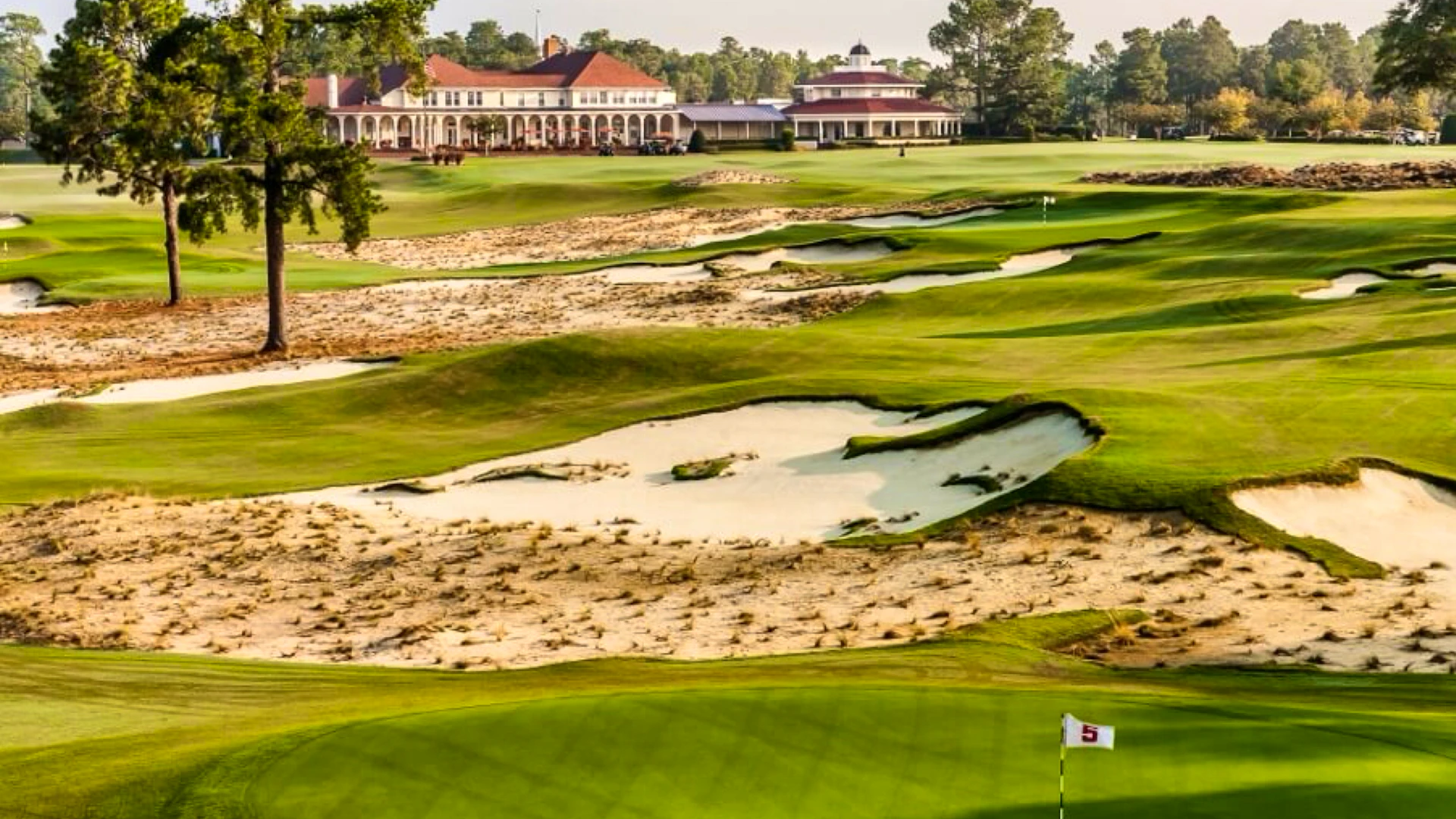 Tom Lewis - Full Swing / Speed & Distance Coaching