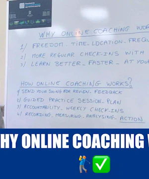 Why Online Coaching Works