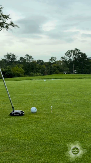 Gap Drill - Putting