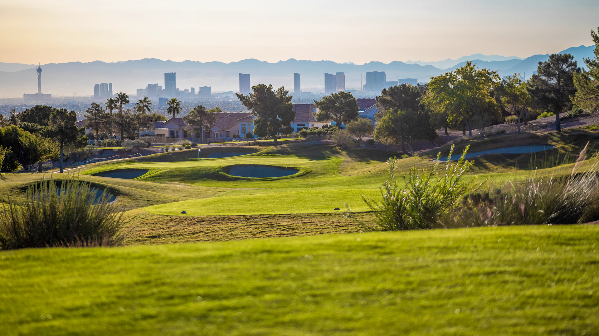 Aaron Puzey