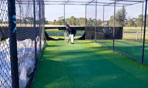 Cricket V Golf 1