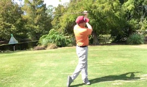 Swing & Hinge