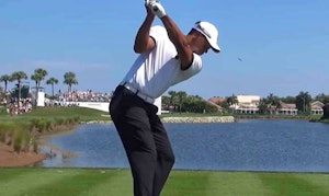 Tiger Woods down the line iron