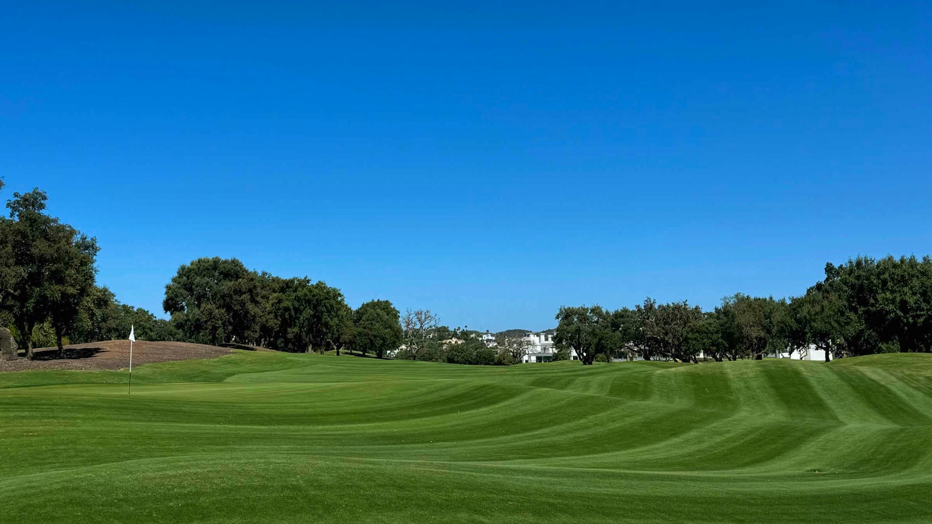 Chris Steel Golf