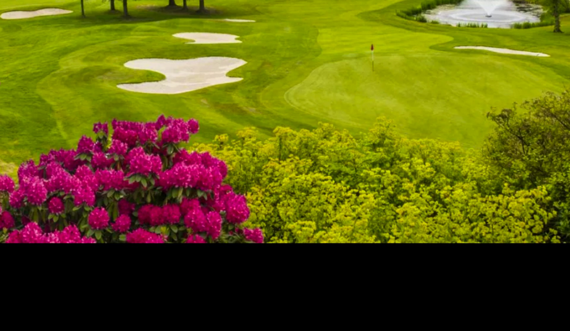 Sam Kiloh - FREE swing analysis ✅⛳️