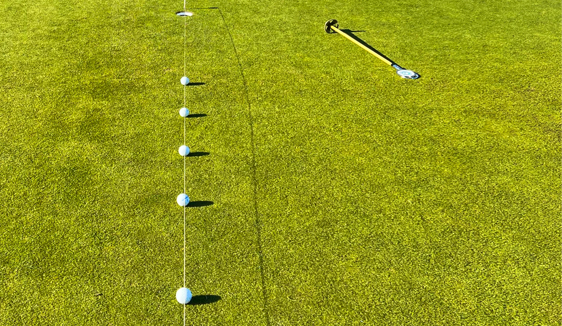 Lewis Atkinson FREE SWING ANALYSIS