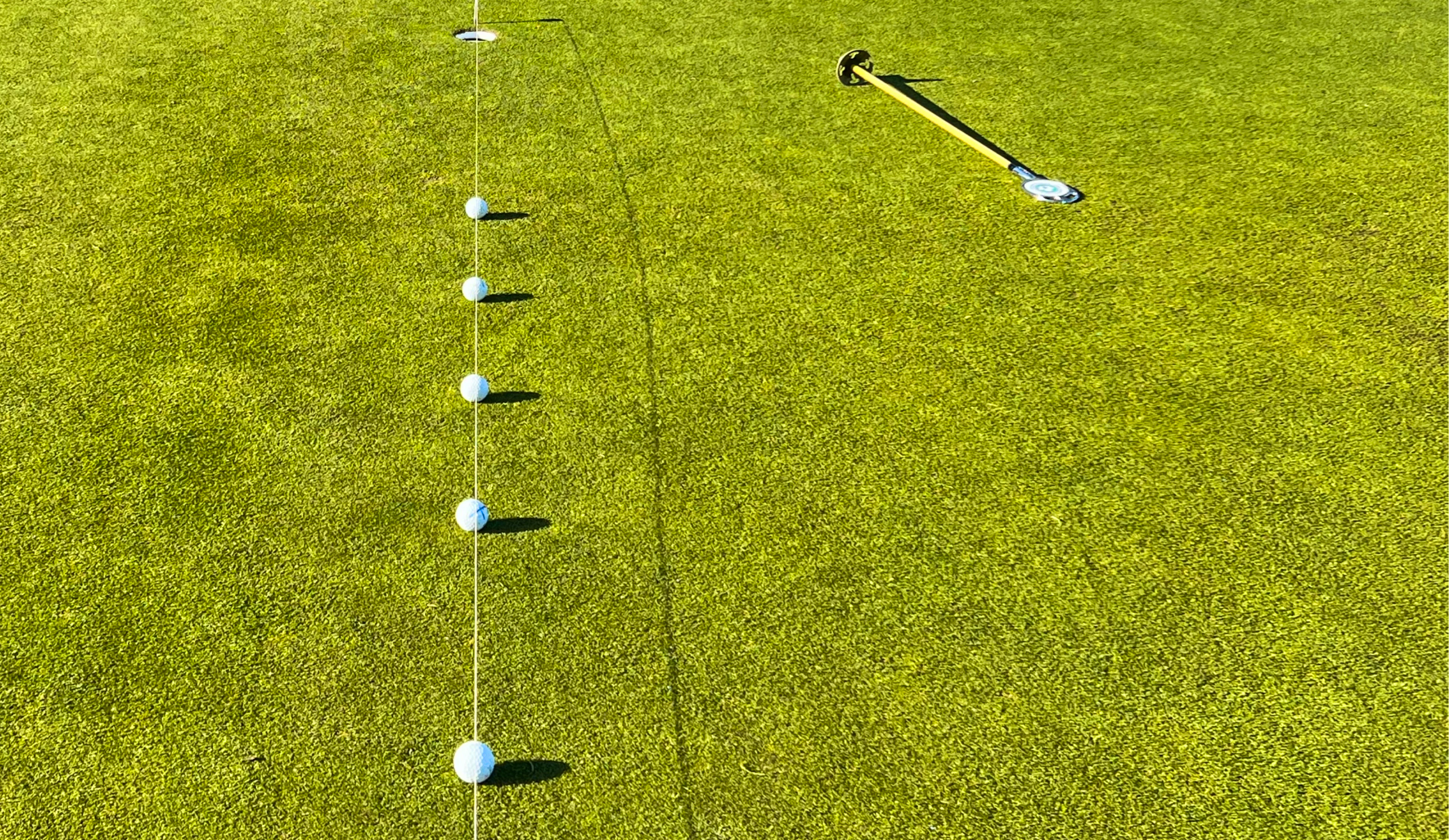 Lewis Atkinson FREE SWING ANALYSIS