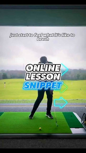 ONLINE LESSON CLIP