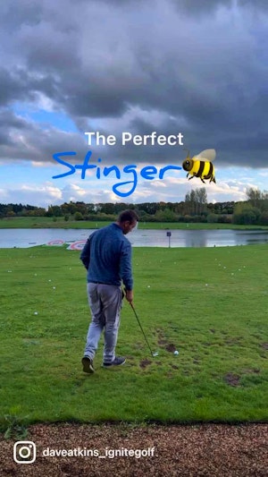 The Stinger