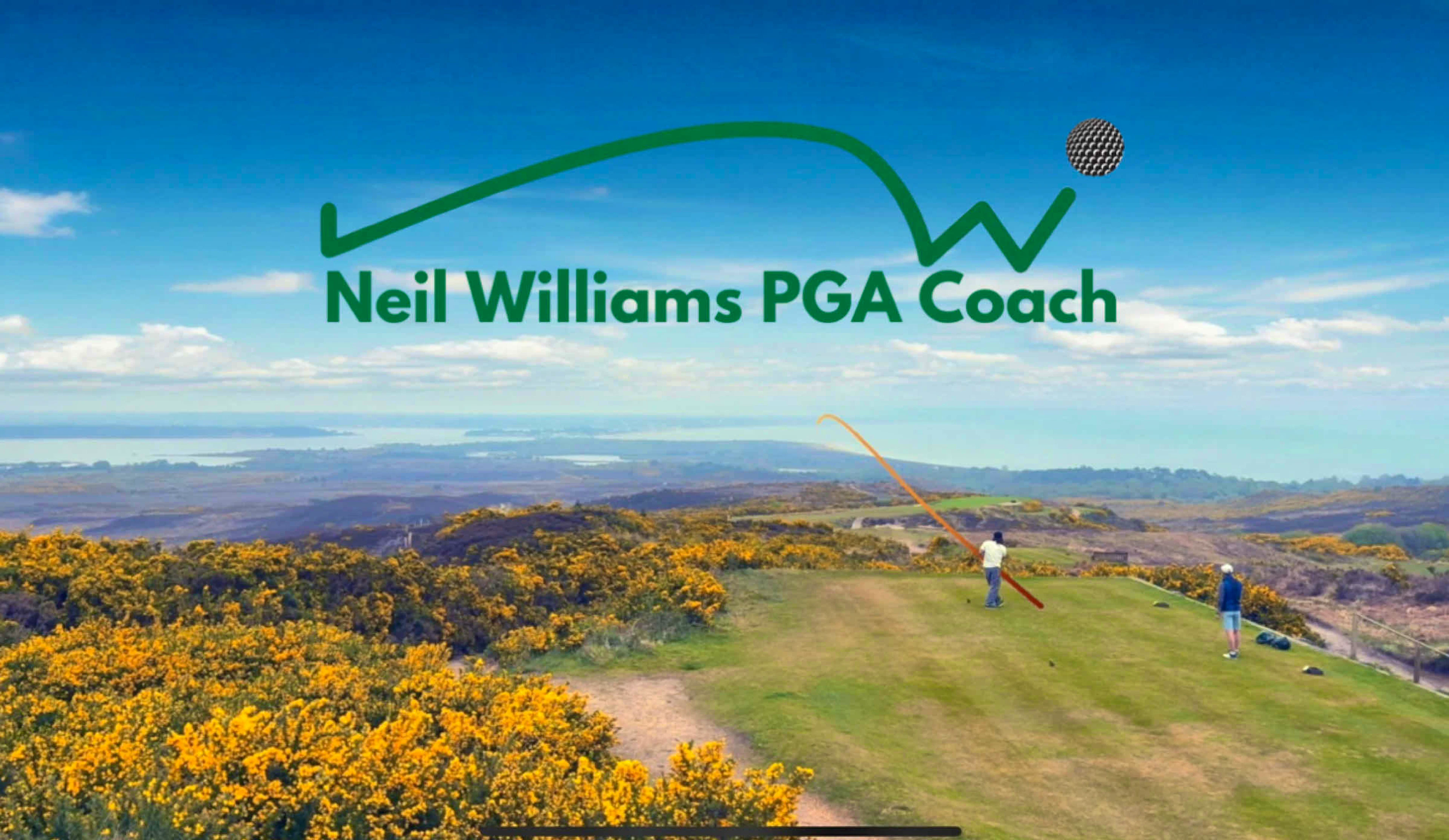Neil Williams
