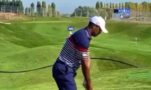 DTL - Tiger Woods